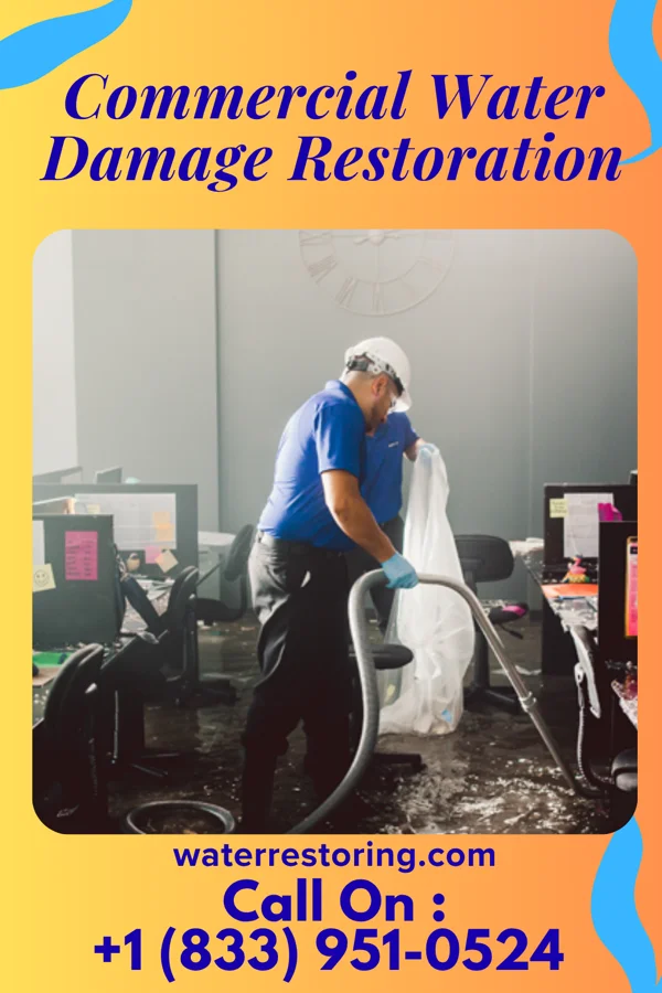 Commercial Water Damage Restoration in Montrose, CO